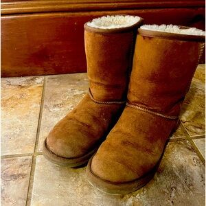 Classic Chestnut Uggs